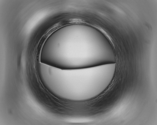 X0000112481151200908171006