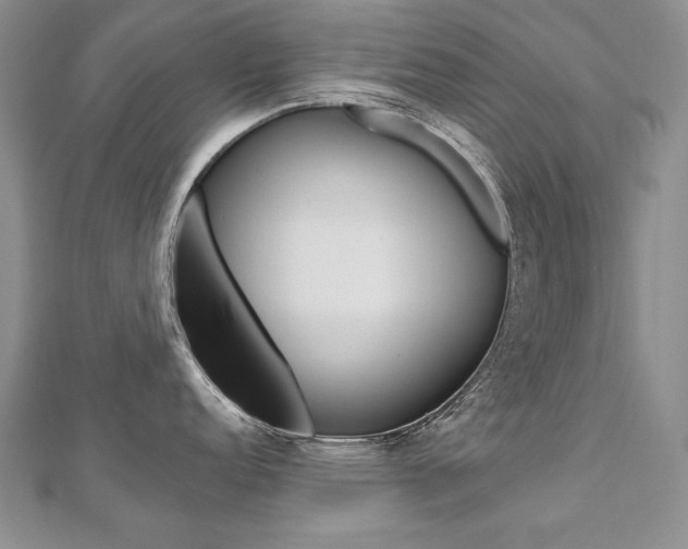 X0000112481152200908171006