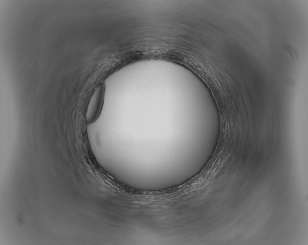 X0000112481153200908171006