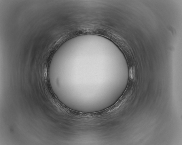 X0000112481155200908171006