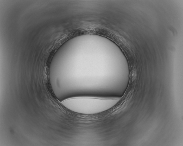 X0000112481156200908171006