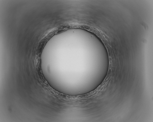 X0000112481157200908171006