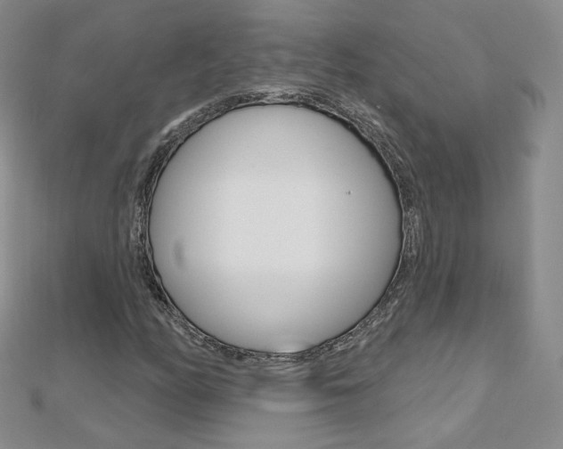X0000112481158200908171006