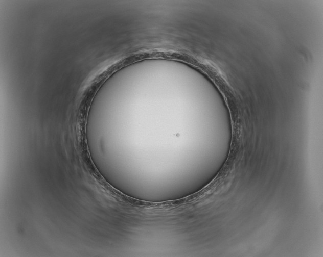 X0000112481159200908171006