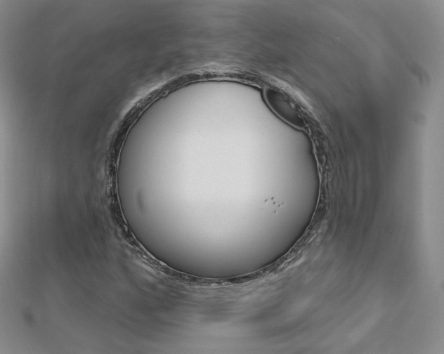 X0000112481160200908171006
