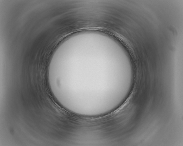 X0000112481161200908171006