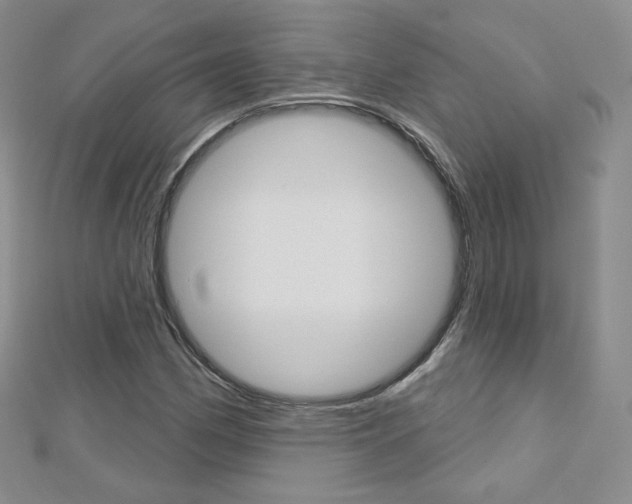 X0000112481162200908171006