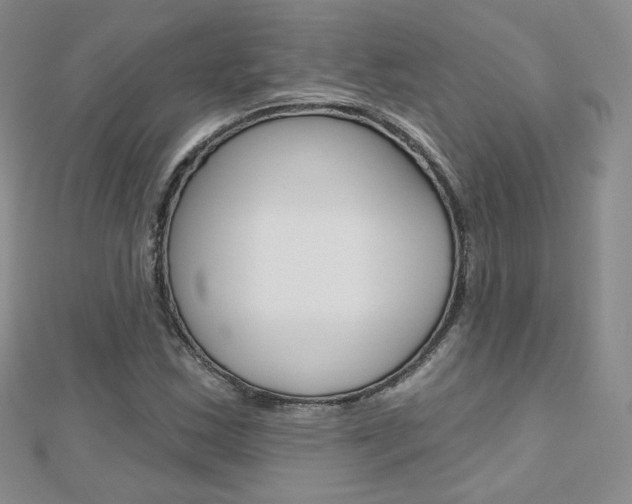 X0000112481163200908171006