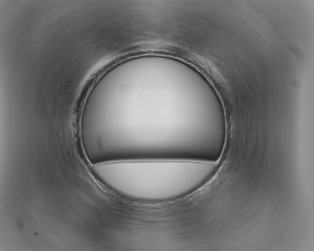 X0000112481164200908171006