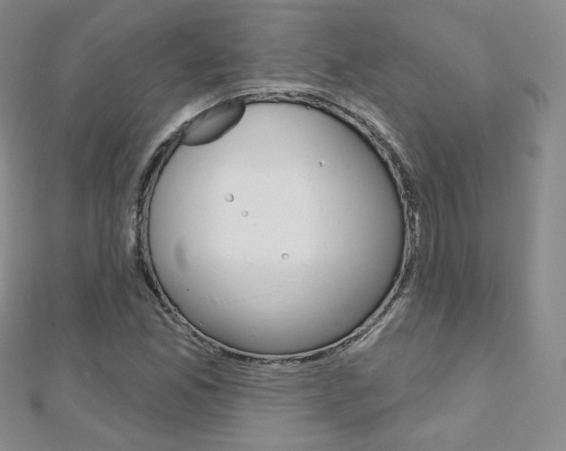 X0000112481165200908171006