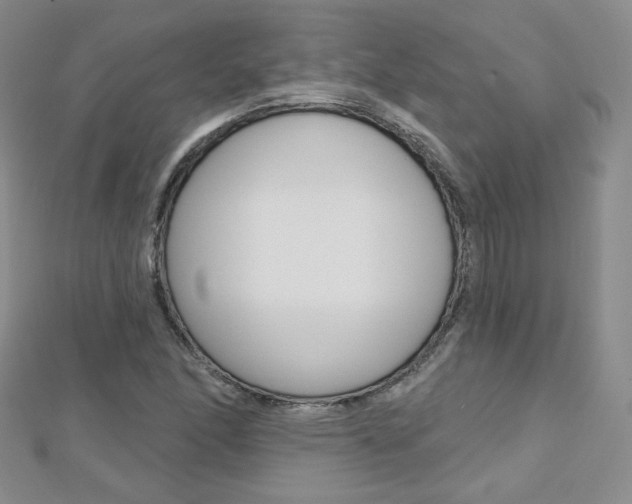 X0000112481166200908171006