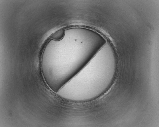 X0000112481167200908171006