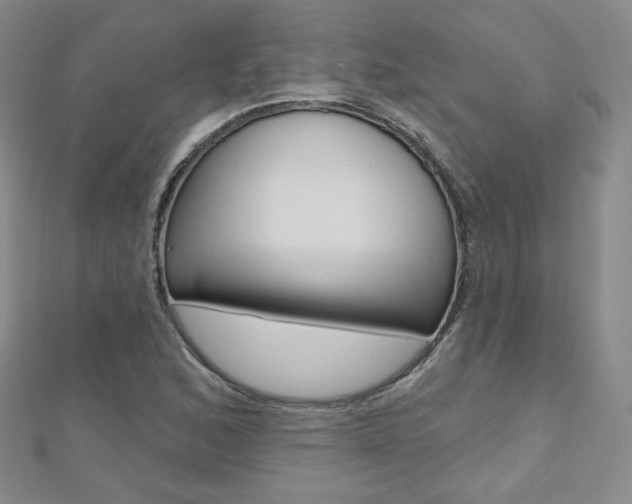X0000112481168200908171006