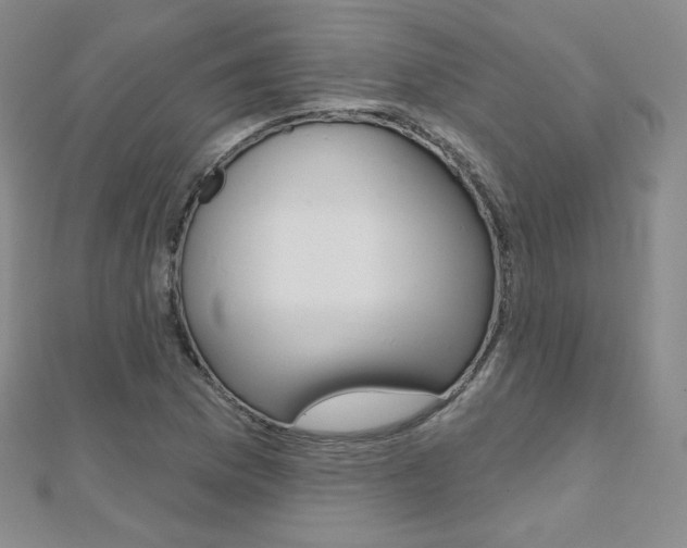 X0000112481169200908171006