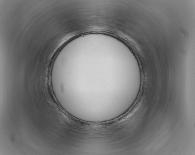 X0000112481170200908171006