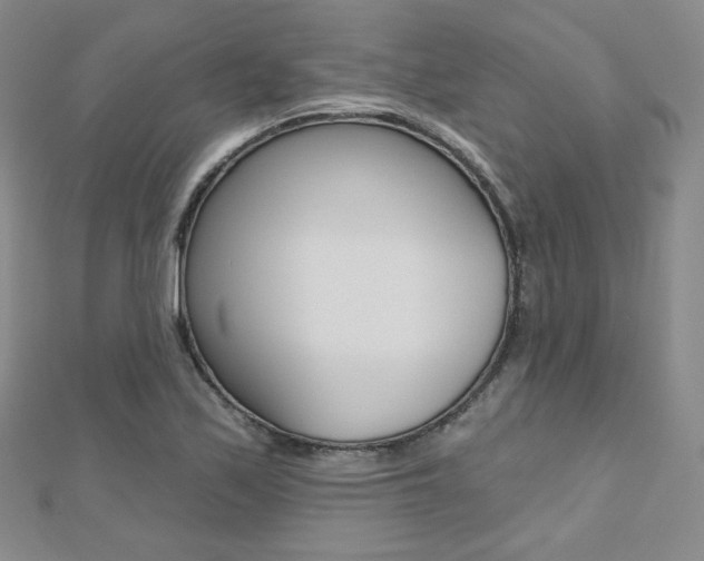 X0000112481171200908171006