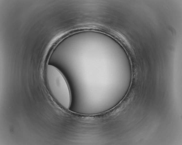X0000112481172200908171006