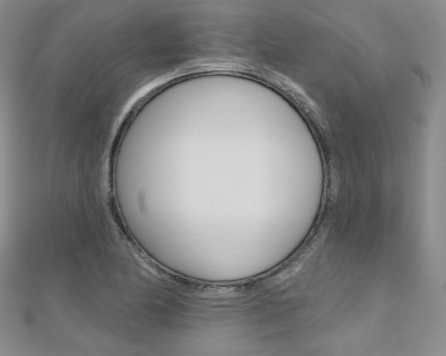 X0000112481174200908171005