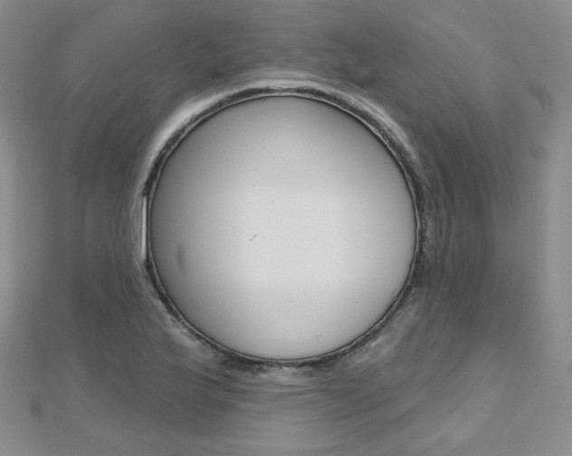 X0000112481175200908171005