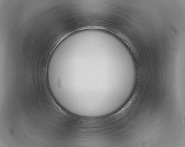 X0000112481177200908171005