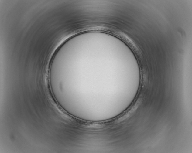 X0000112481178200908171005