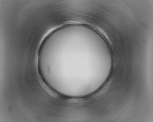 X0000112481179200908171005