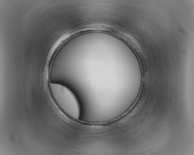 X0000112481180200908171005