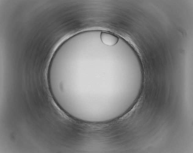 X0000112481181200908171005
