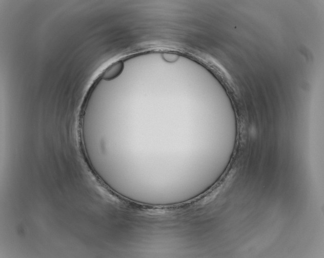 X0000112481182200908171005