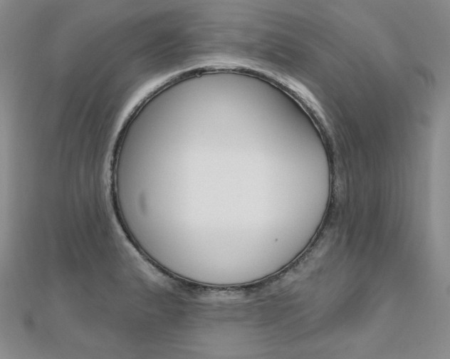 X0000112481183200908171005