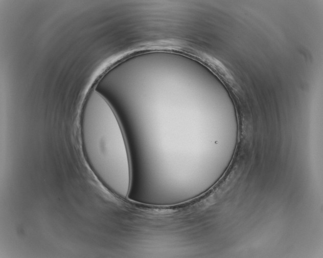 X0000112481184200908171005