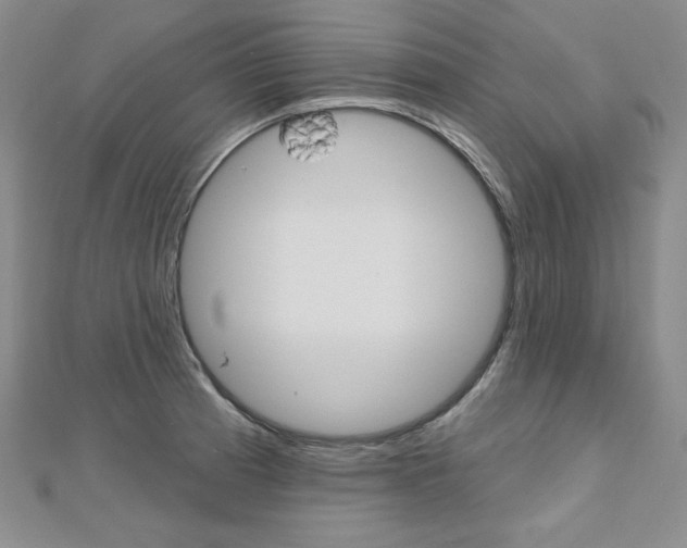 X0000112481185200908171005
