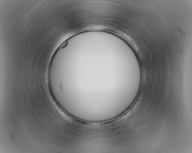 X0000112481186200908171005