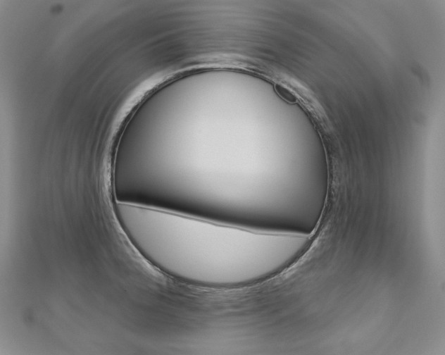 X0000112481188200908171005