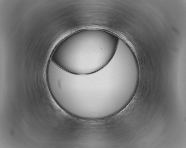 X0000112481189200908171005