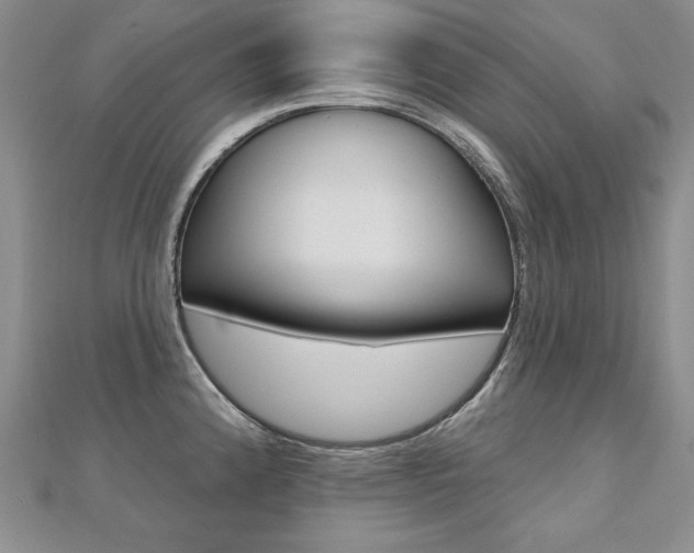 X0000112481192200908171005