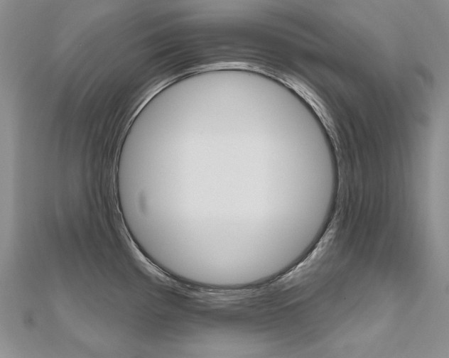 X0000112481193200908171005