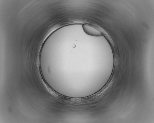 X0000112481194200908171005
