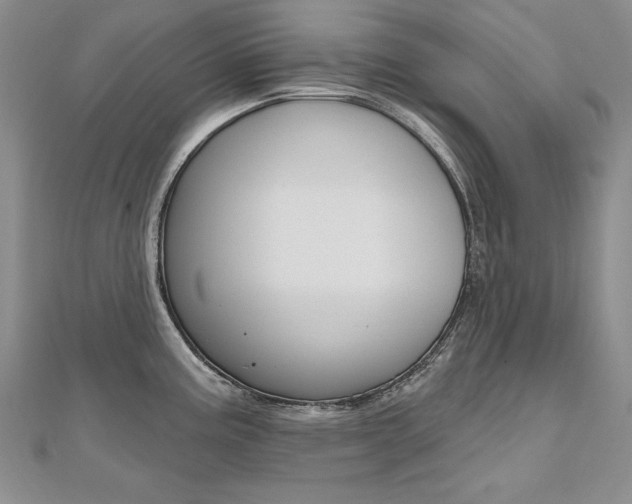 X0000112481195200908171005