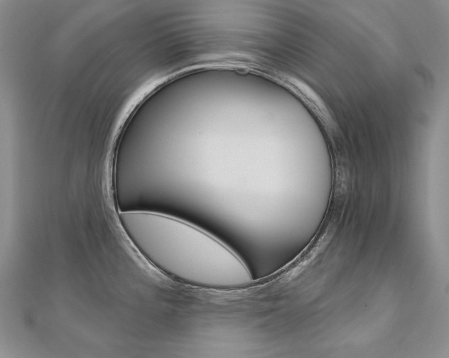 X0000112481196200908171005
