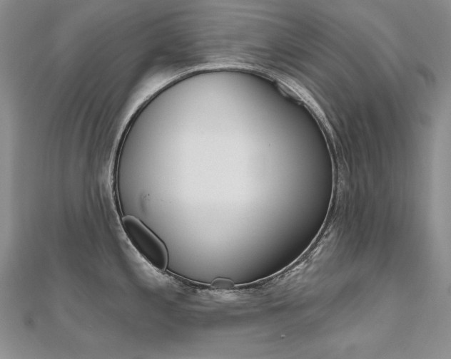 X0000112481197200908171005