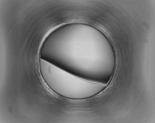 X0000112481200200908171005