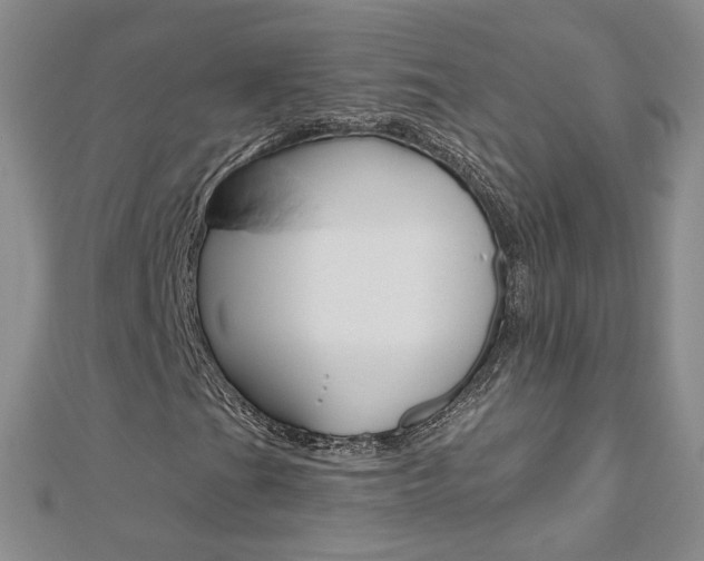 X0000112481201200908171005