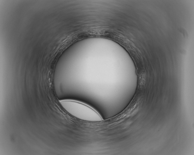X0000112481202200908171005