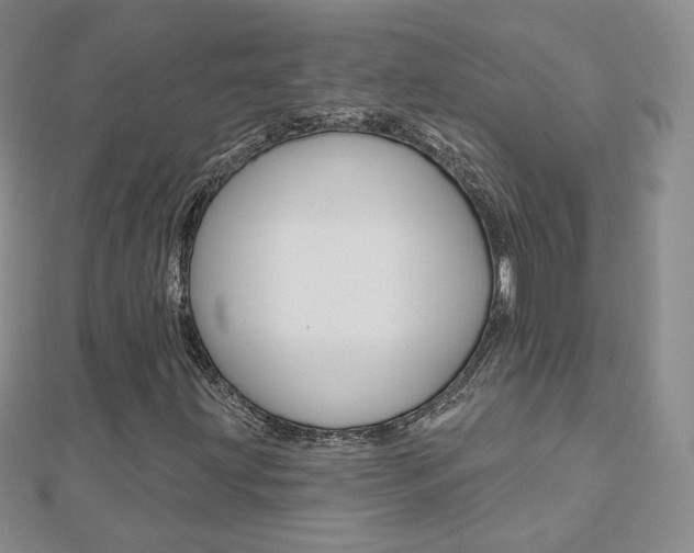 X0000112481203200908171005