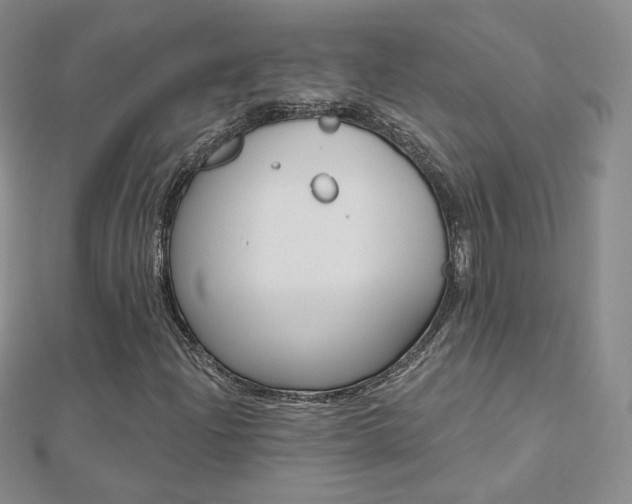 X0000112481204200908171005