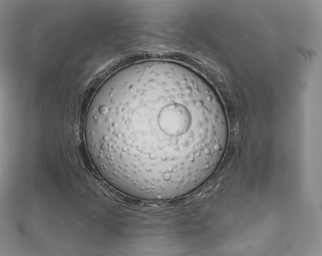 X0000112481205200908171005