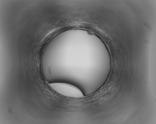 X0000112481206200908171005