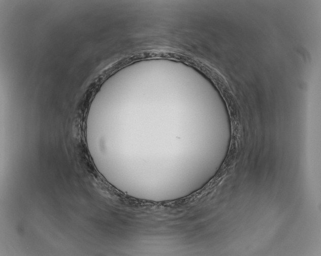 X0000112481207200908171005