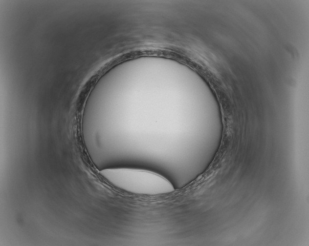 X0000112481208200908171005